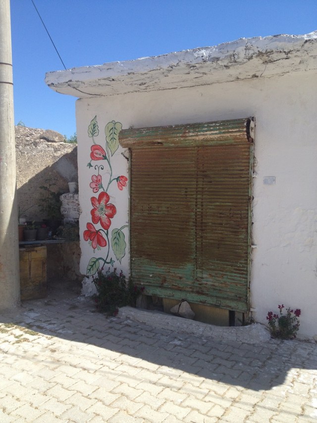 cesme-germiyan-koyu (17)