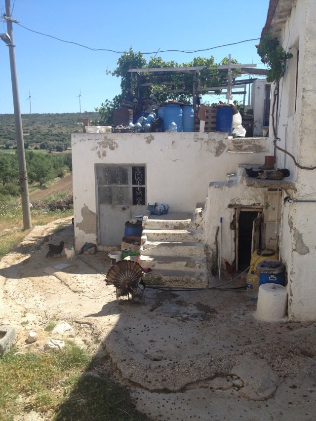 cesme-germiyan-koyu (19)