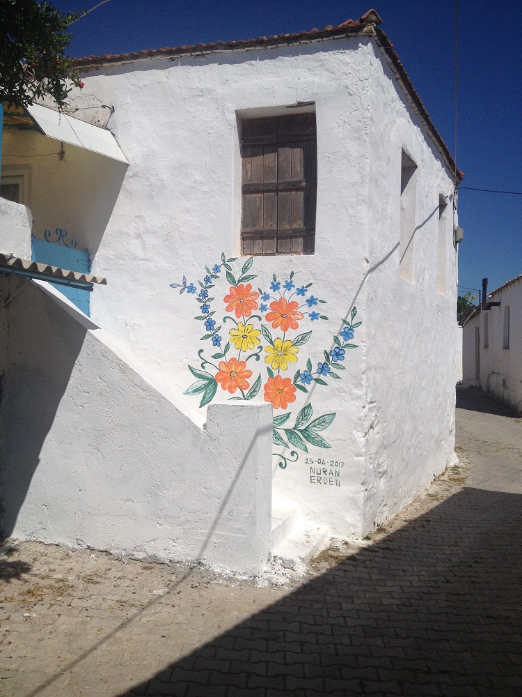 cesme-germiyan-koyu (20)