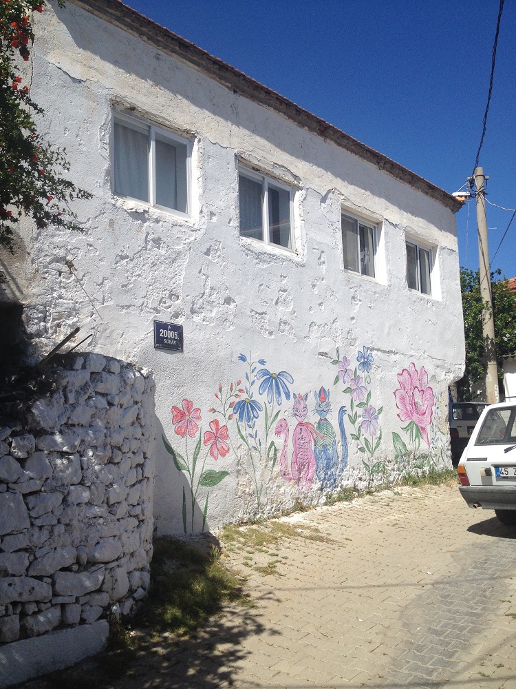 cesme-germiyan-koyu (24)