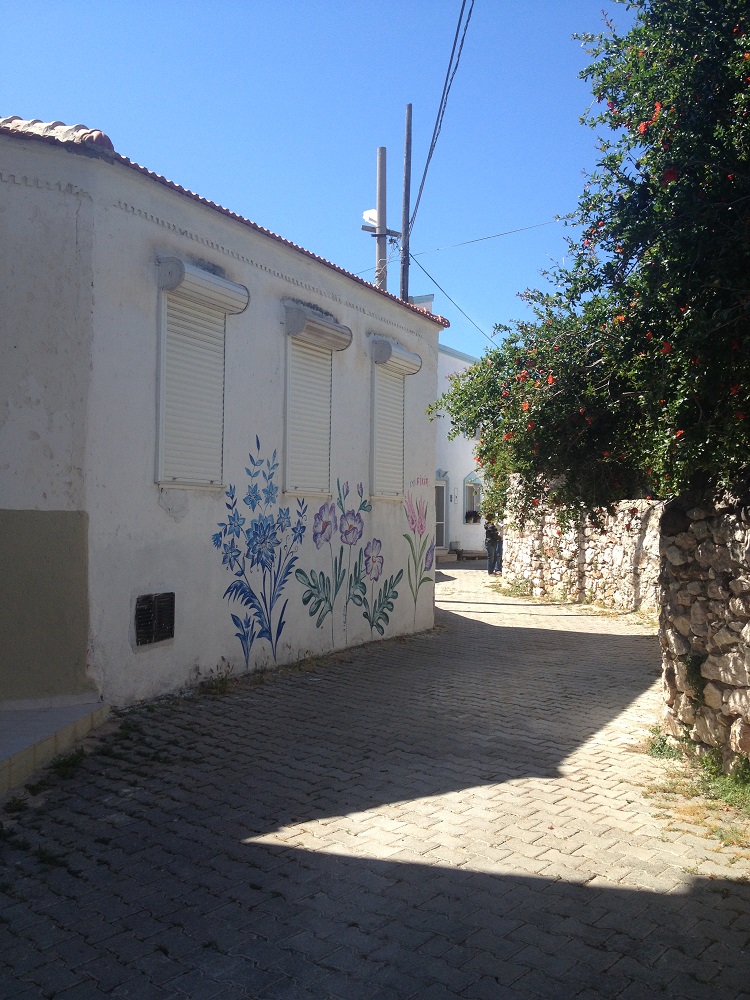 cesme-germiyan-koyu (25)