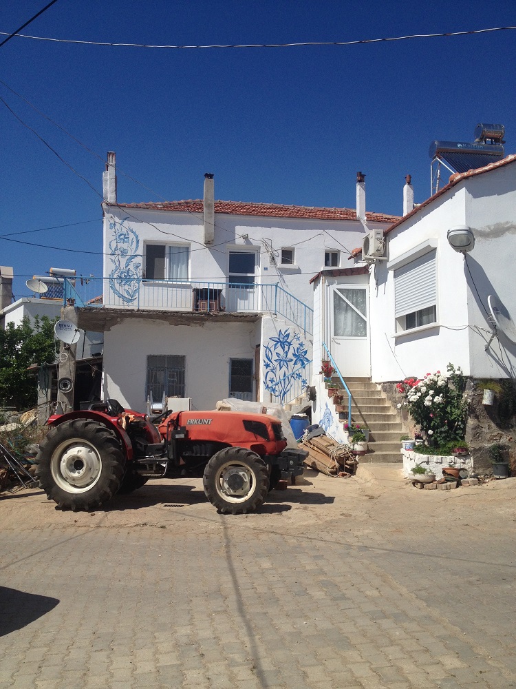 cesme-germiyan-koyu (27)