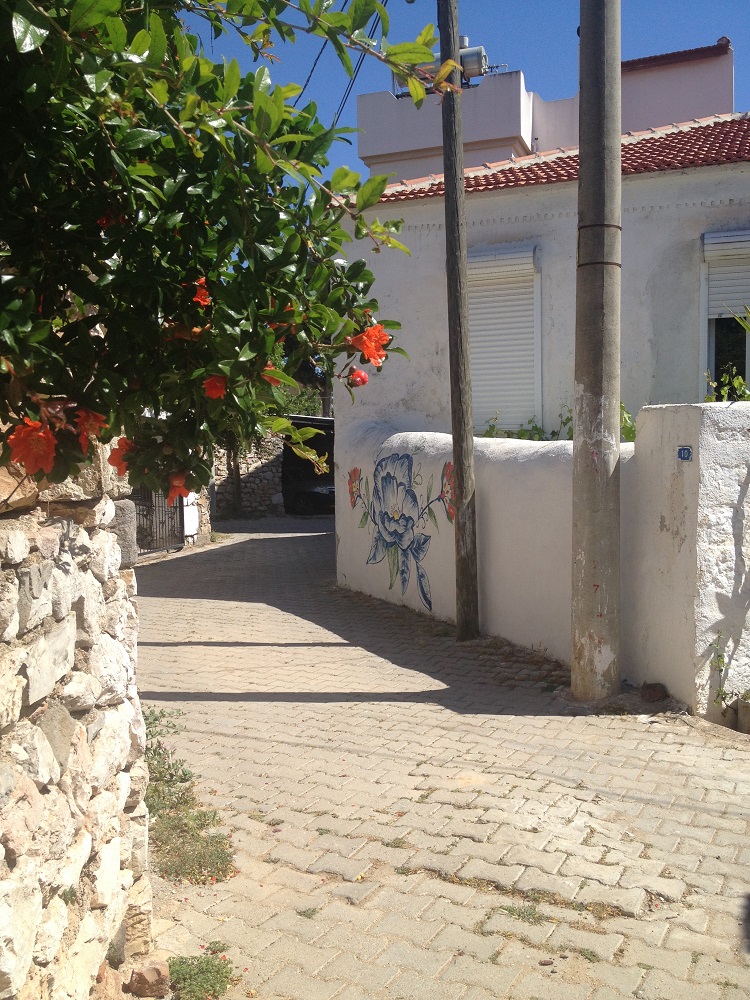 cesme-germiyan-koyu (28)