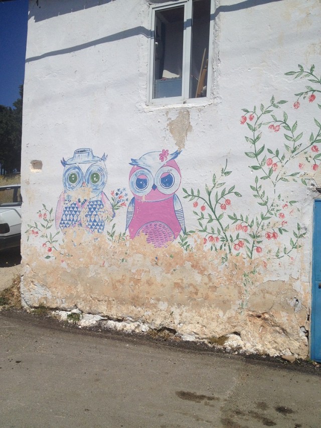 cesme-germiyan-koyu (3)