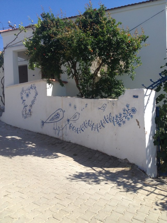 cesme-germiyan-koyu (35)