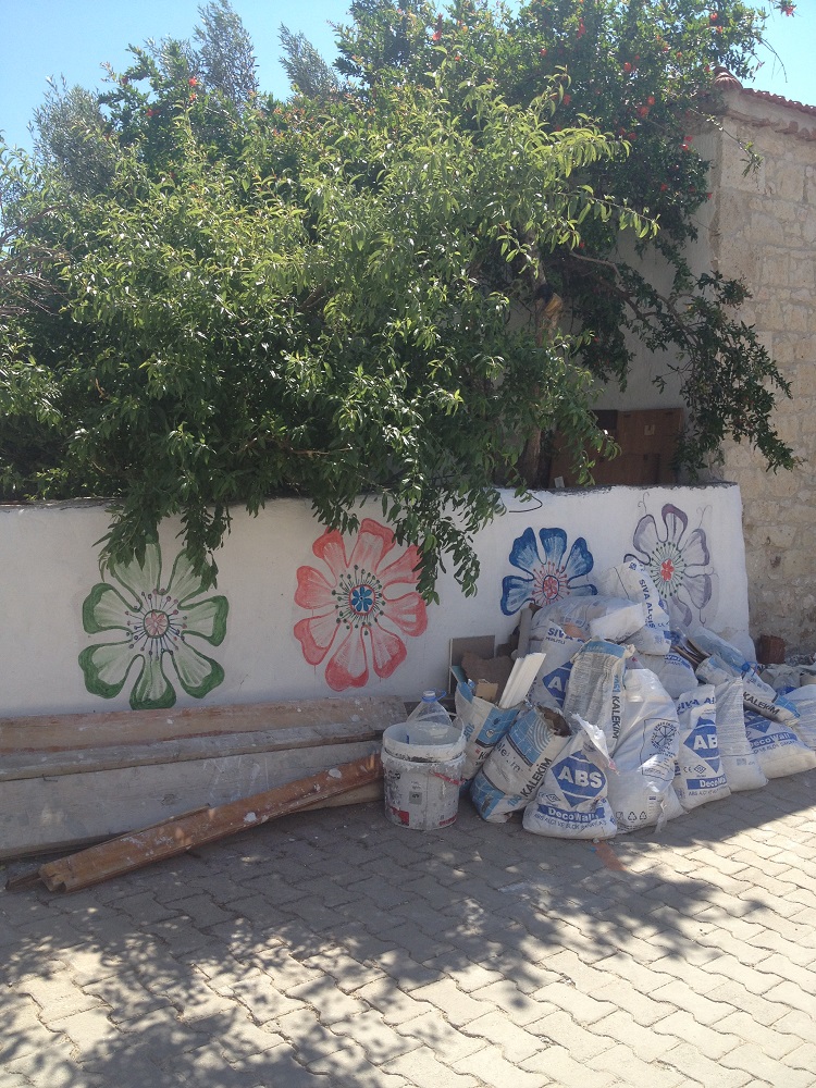 cesme-germiyan-koyu (36)