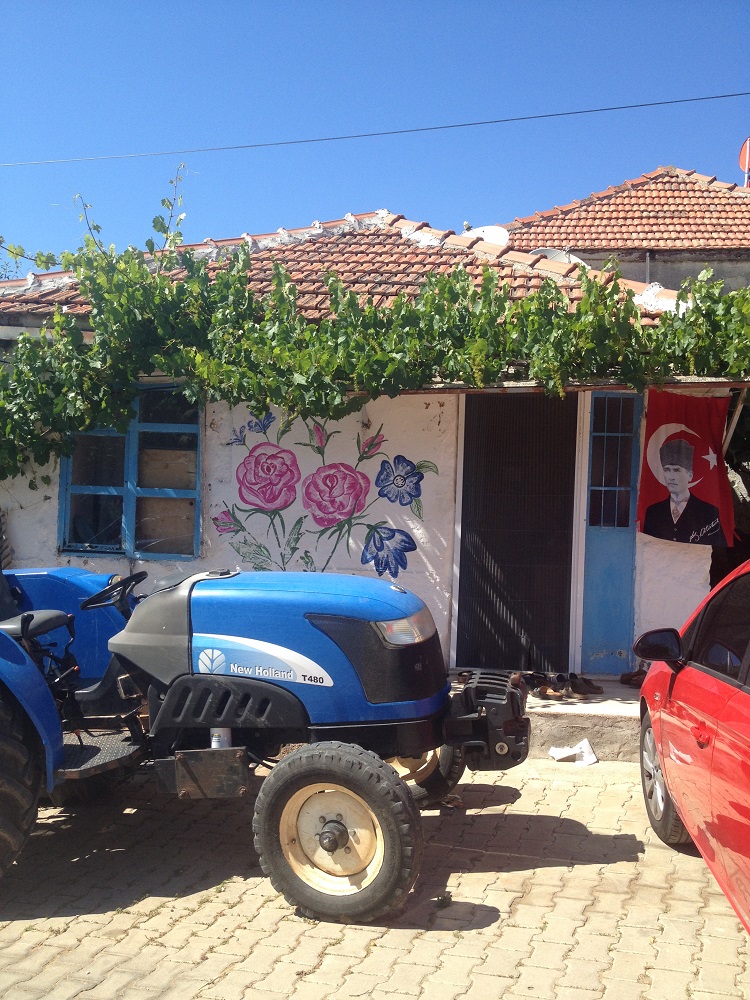 cesme-germiyan-koyu (39)