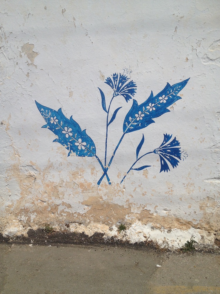 cesme-germiyan-koyu (4)