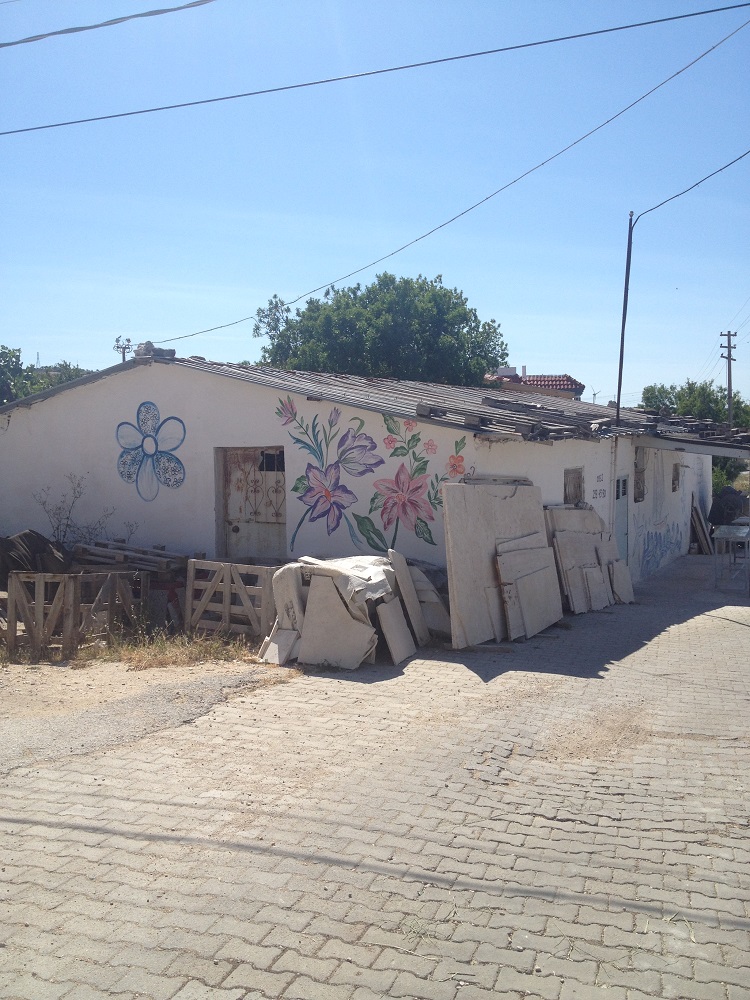 cesme-germiyan-koyu (43)