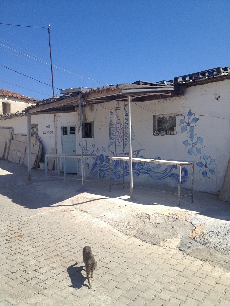 cesme-germiyan-koyu (44)