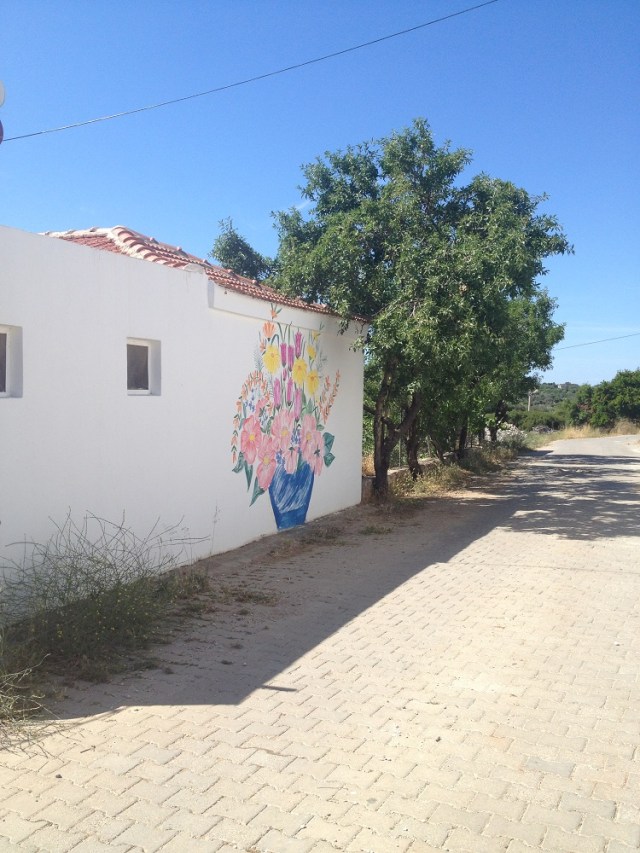 cesme-germiyan-koyu (47)