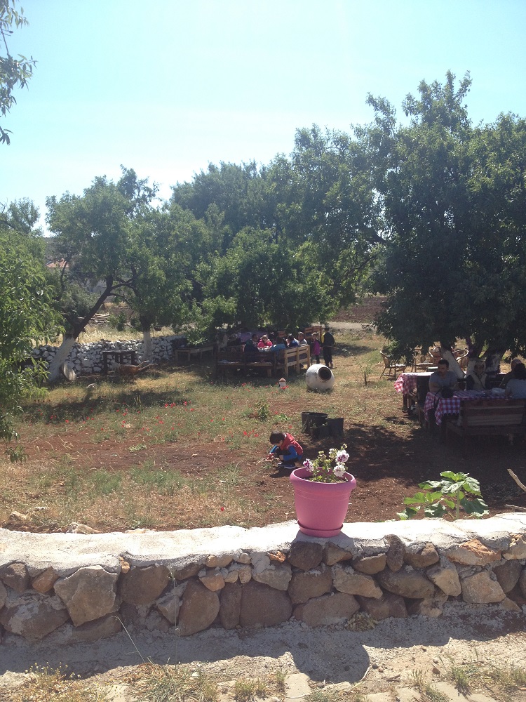 cesme-germiyan-koyu (49)