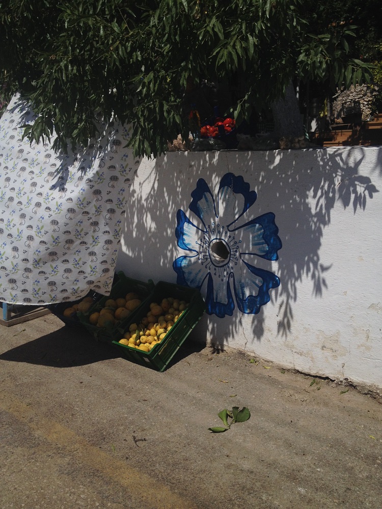 cesme-germiyan-koyu (5)