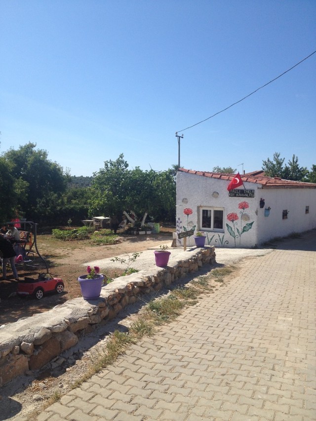 cesme-germiyan-koyu (51)