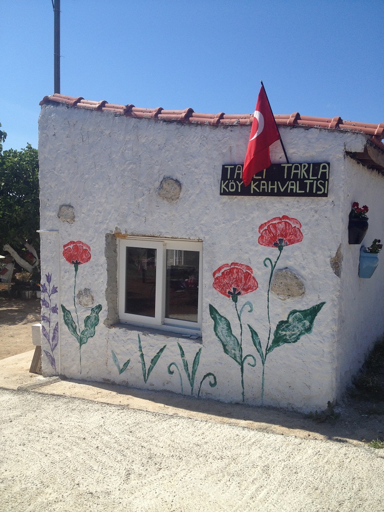 cesme-germiyan-koyu (52)