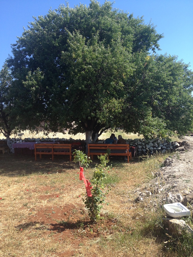 cesme-germiyan-koyu (54)