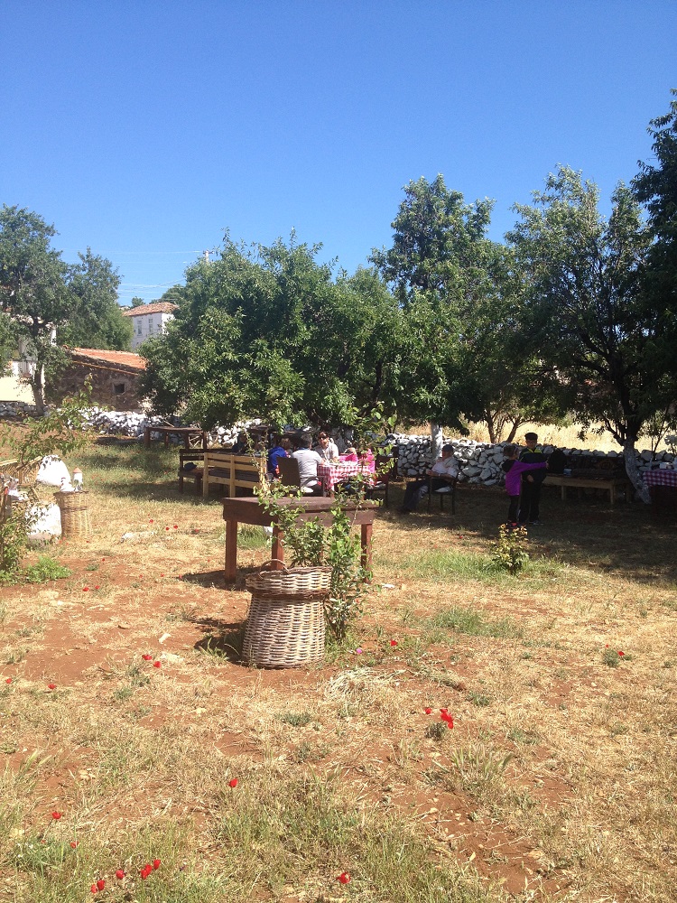 cesme-germiyan-koyu (55)