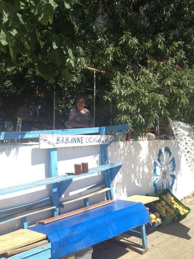 cesme-germiyan-koyu (6)