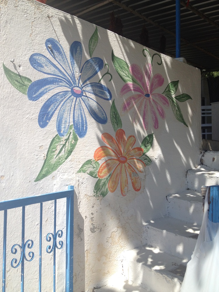 cesme-germiyan-koyu (7)