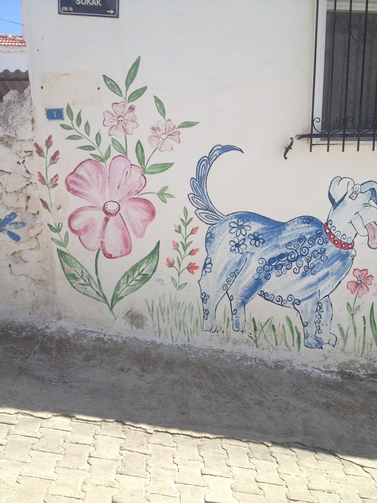 cesme-germiyan-koyu (8)