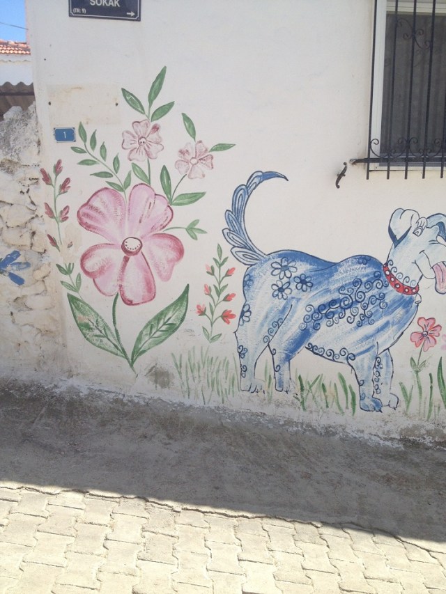 cesme-germiyan-koyu (8)