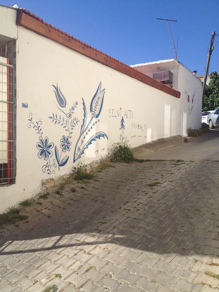 cesme-germiyan-koyu (85)