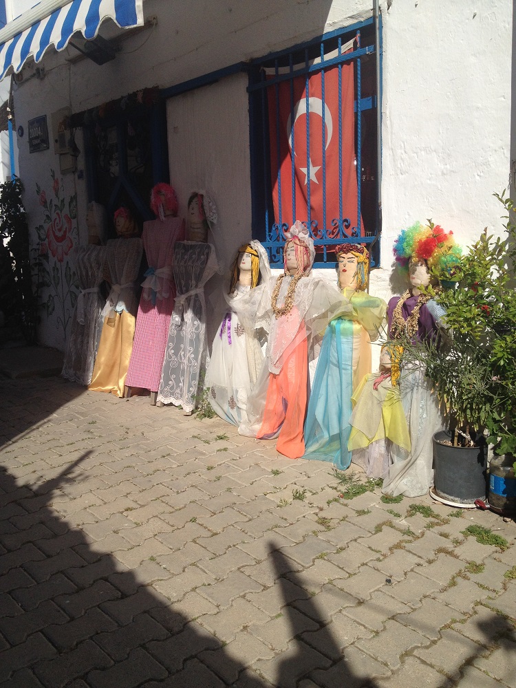 cesme-germiyan-koyu (88)