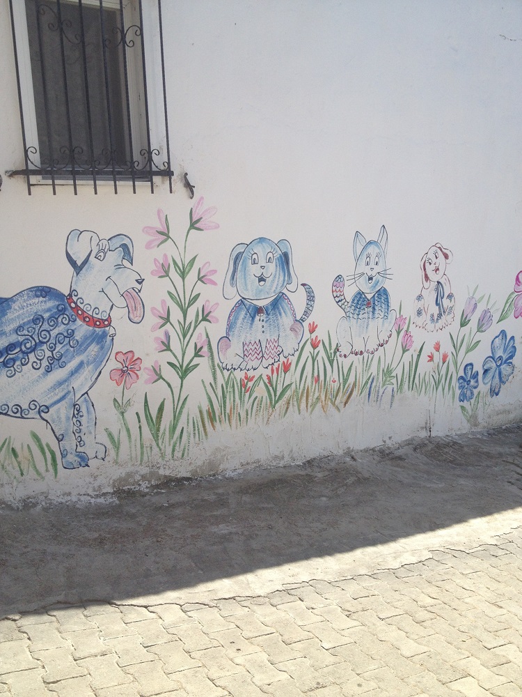 cesme-germiyan-koyu (9)