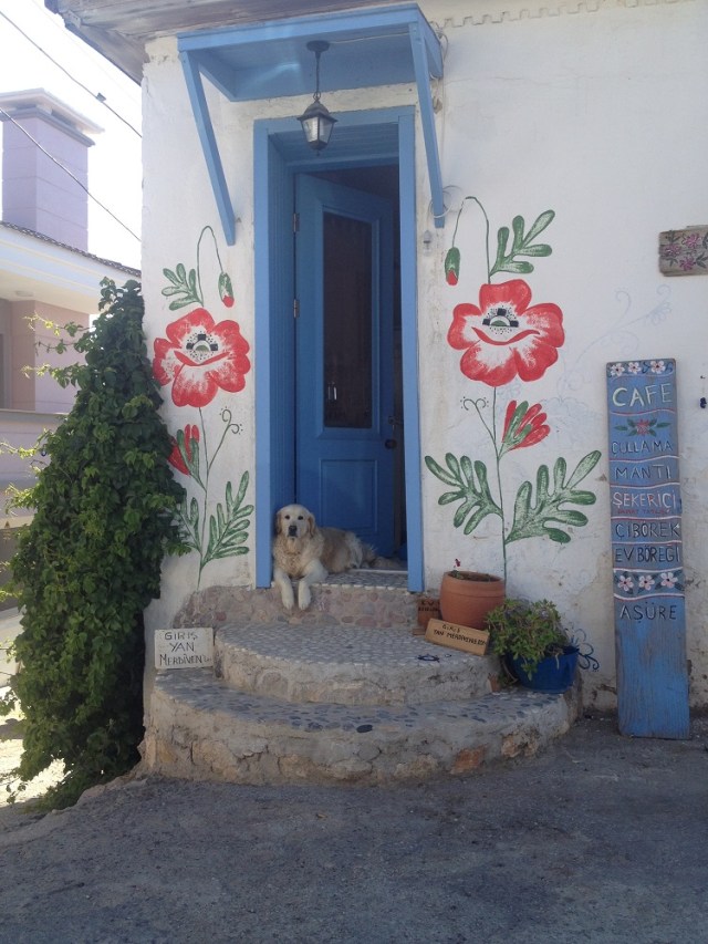 cesme-germiyan-koyu (91)