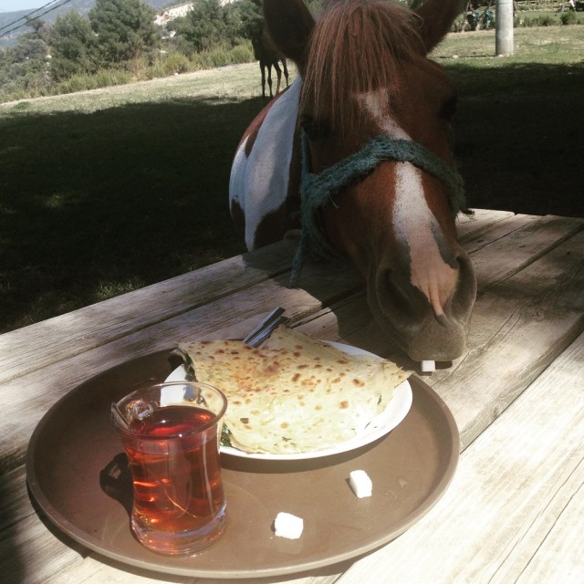 sultanlar-vadisi (16)