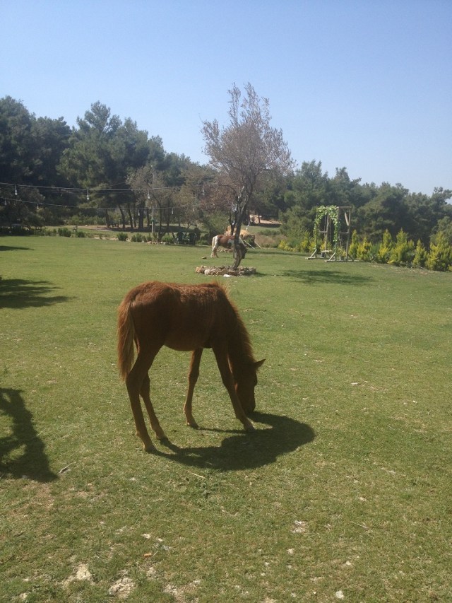 sultanlar-vadisi (6)