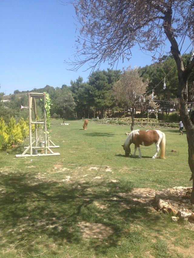 sultanlar-vadisi (8)