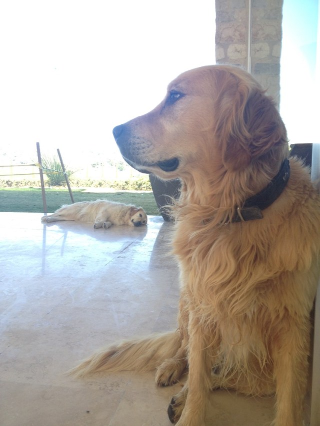 Urla-Sarapcilik (17)