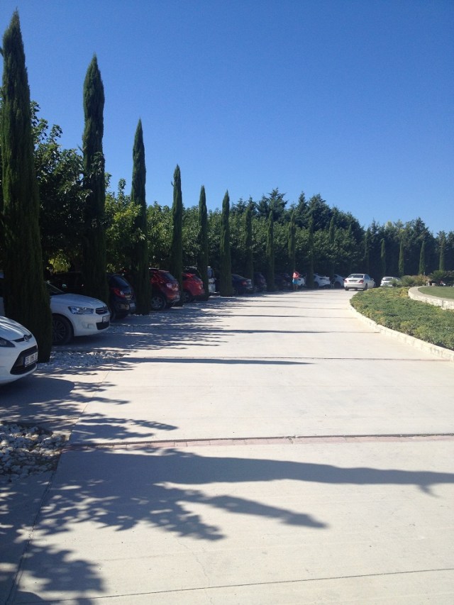 Urla-Sarapcilik (25)