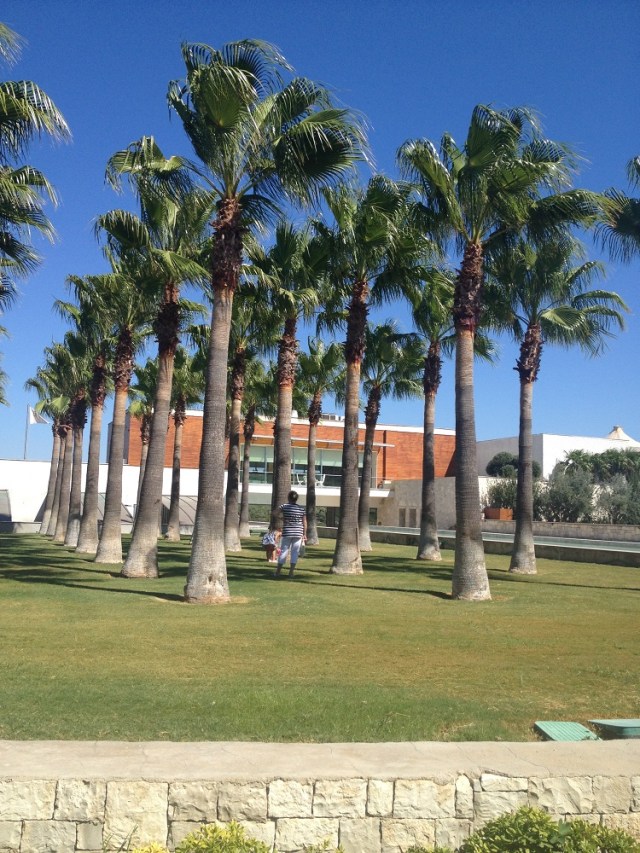 Urla-Sarapcilik (27)