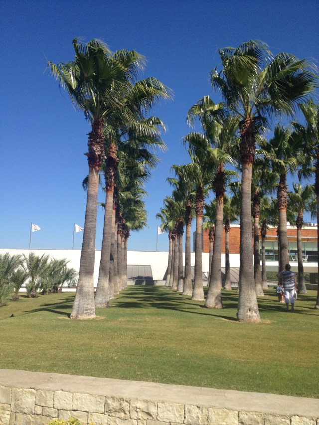 Urla-Sarapcilik (28)