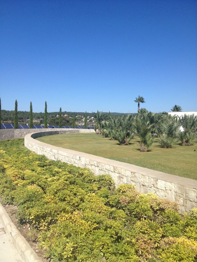 Urla-Sarapcilik (29)