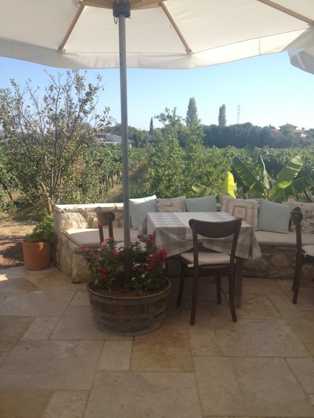 urlice-saraplari (19)