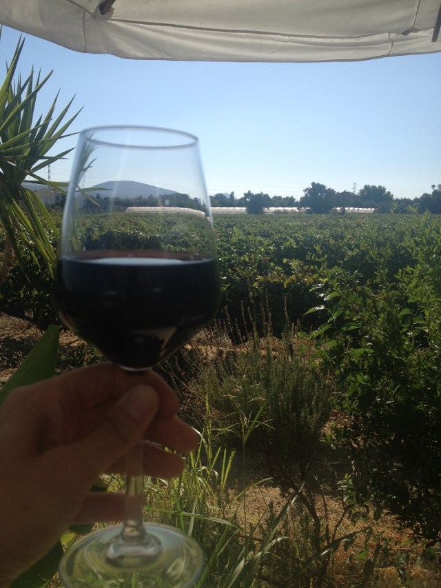 urlice-saraplari (26)