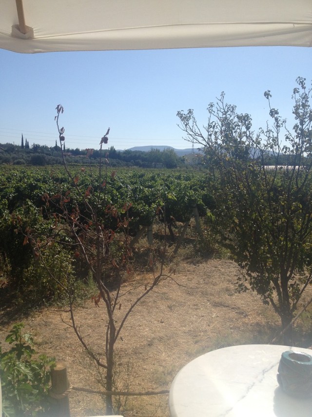 urlice-saraplari (4)