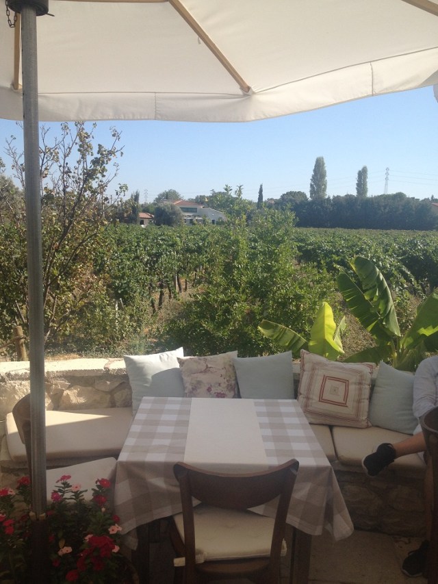 urlice-saraplari (7)