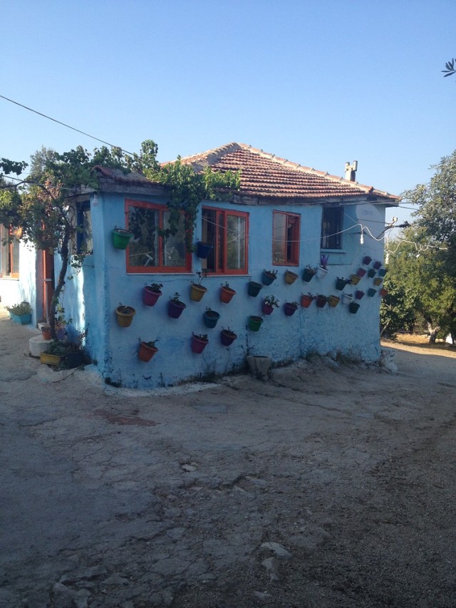 yasar-babanin-ciftligi (21)