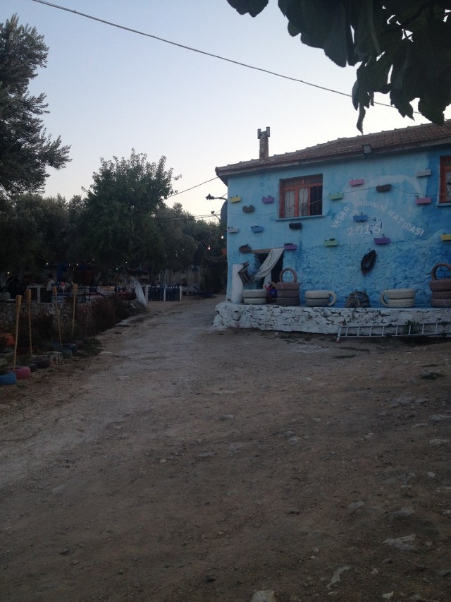 yasar-babanin-ciftligi (33)