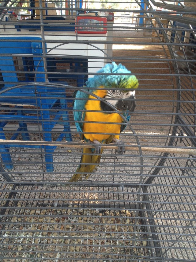 yasar-babanin-ciftligi (4)