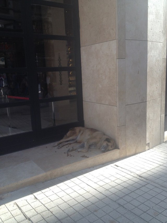 Kazim-Taskent-kultur-merkezi (2)