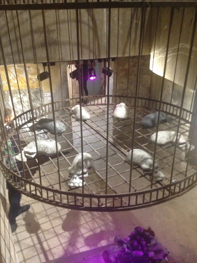 Tasarim-tomtom-sokakta (30)