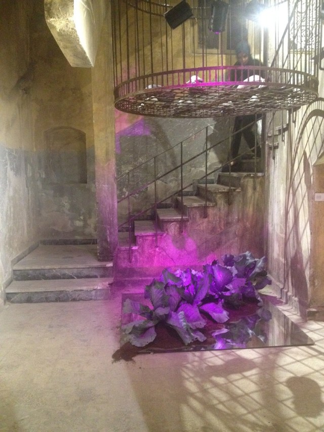 Tasarim-tomtom-sokakta (41)