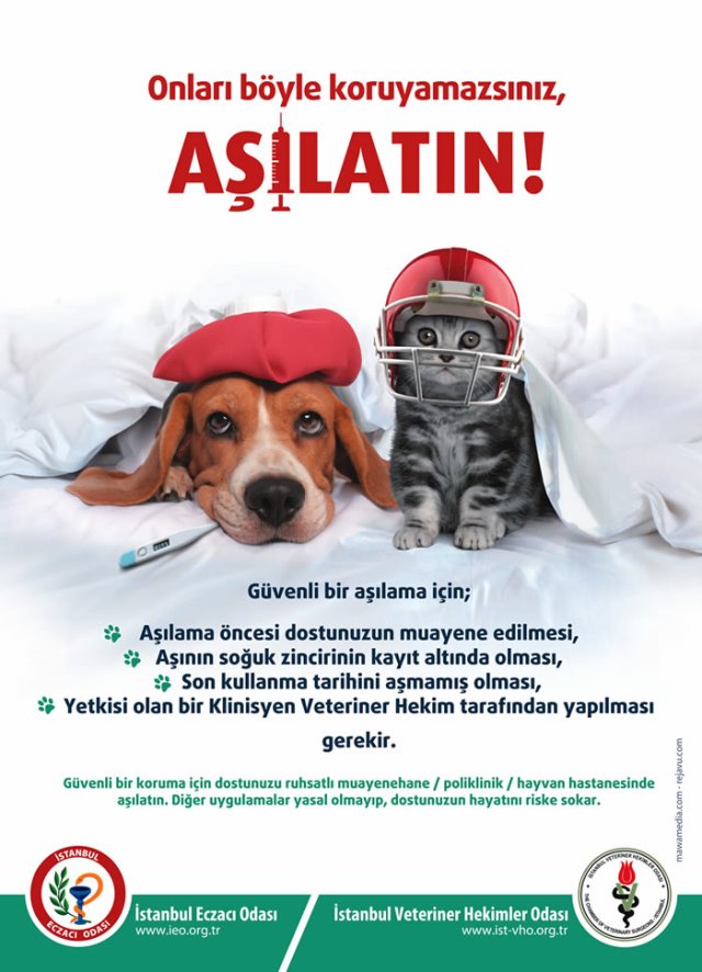 ASILATIN