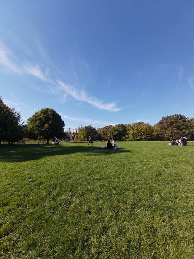 central-park-2019 (17)