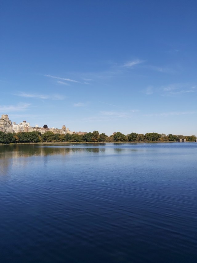 central-park-2019 (23)